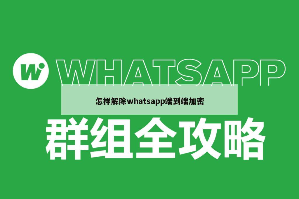 怎样解除whatsapp端到端加密